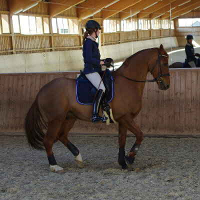 Eva Steinbach Pferdewirtschaftsmeisterin mit Schwerpunkt Reiten